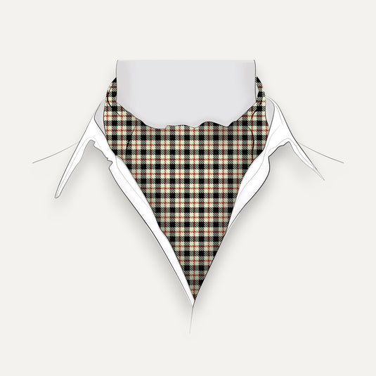 The Check Study Cravat