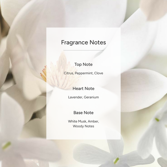 Connection - Perfume For Men | 50 ml | 20ML | 15ML